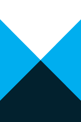 Business Process Outsourcing (BPO)